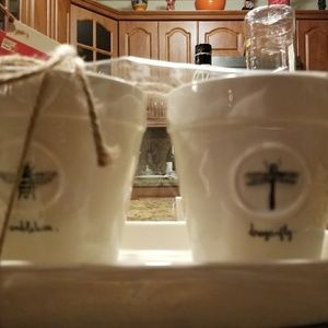 Rae dunn pots dragonfly, bumble bee, ladybugs